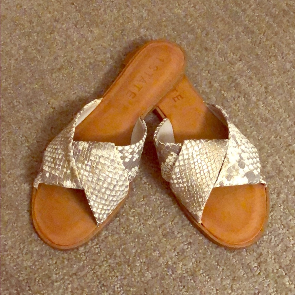 1. State snakeskin slides